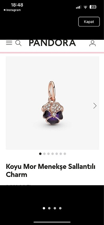 Pandora pandora küpe ve charm