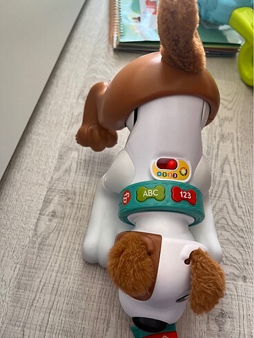 Fisher price köpek