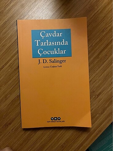 Çavdar Tarlasında Çocuklar