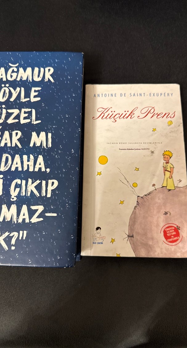 Küçük Prens - Antoine de Saint-Exupéry - Görsel 3