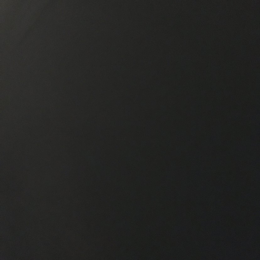 Siyah Baskılı  Bayan Tişörtü - Görsel 4