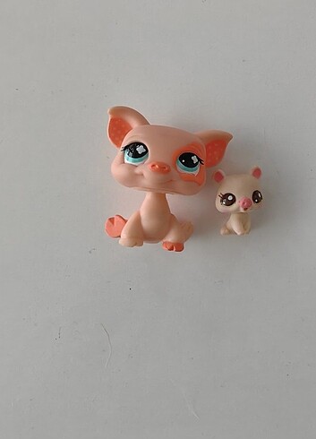Beden Lps minis domuz ve yavrusu
