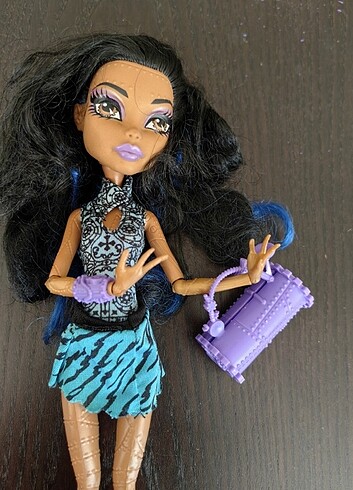 Monster high Robecca