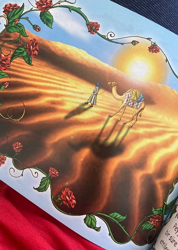 Beden Renk Peygamberimizin Hayatı Resimli Çocuk Kitabı