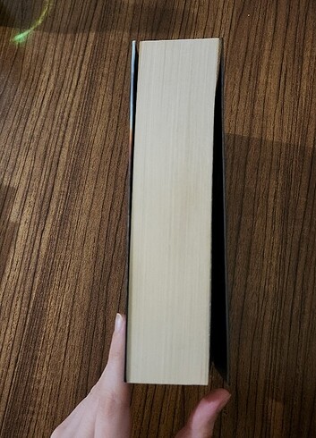 Göçebe - Stephenie Meyer