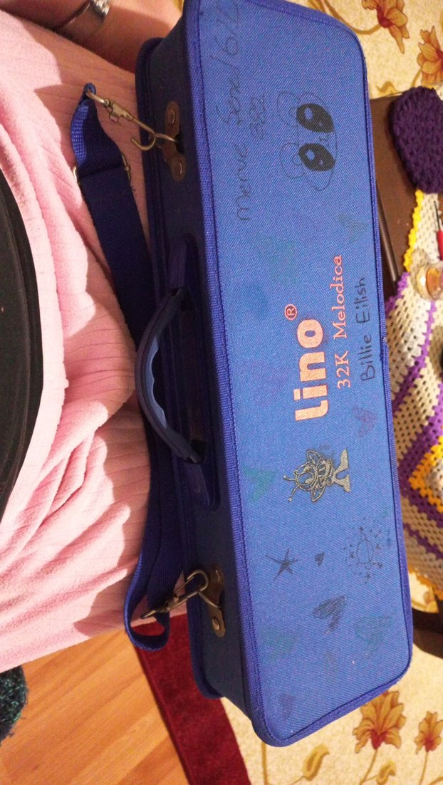 Mavi Melodika Müzik Aleti - Görsel 2