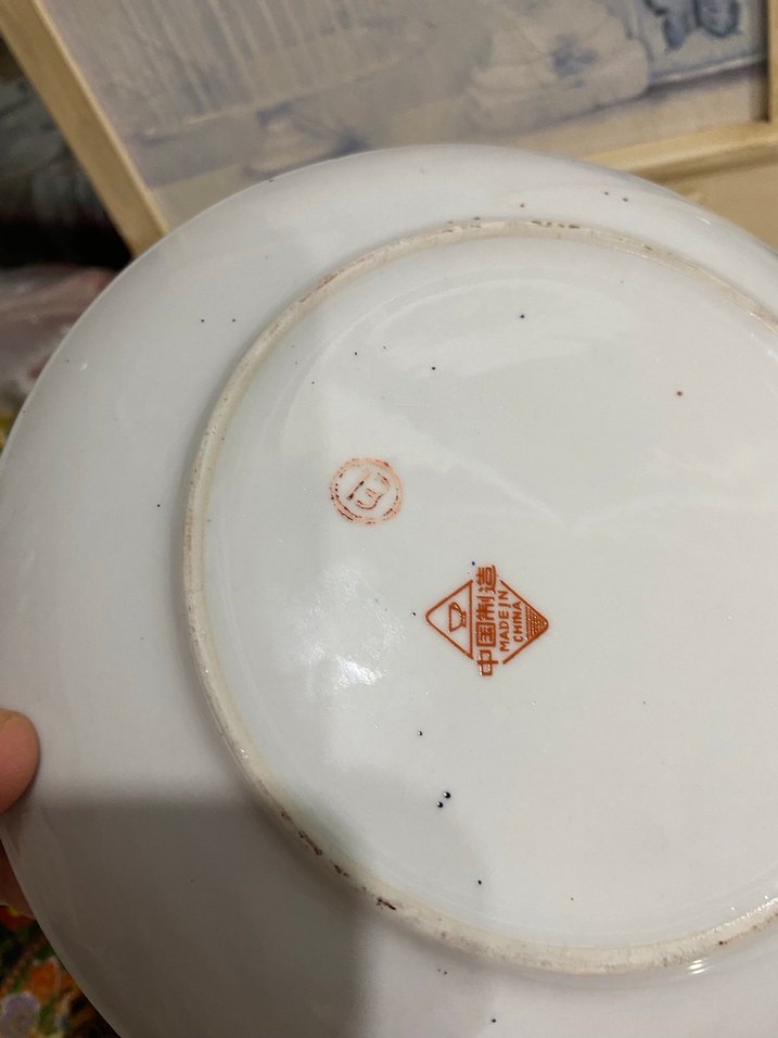 Desenli Çok Renkli Geleneksel Tabak - Görsel 3