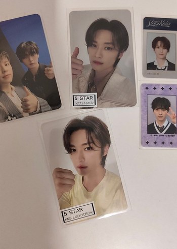 Beden Renk stray kids lee know fotokart set