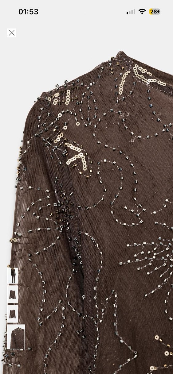 Transparan taşlı İşlemeli Kahverengi Kadın Bluz - Görsel 4