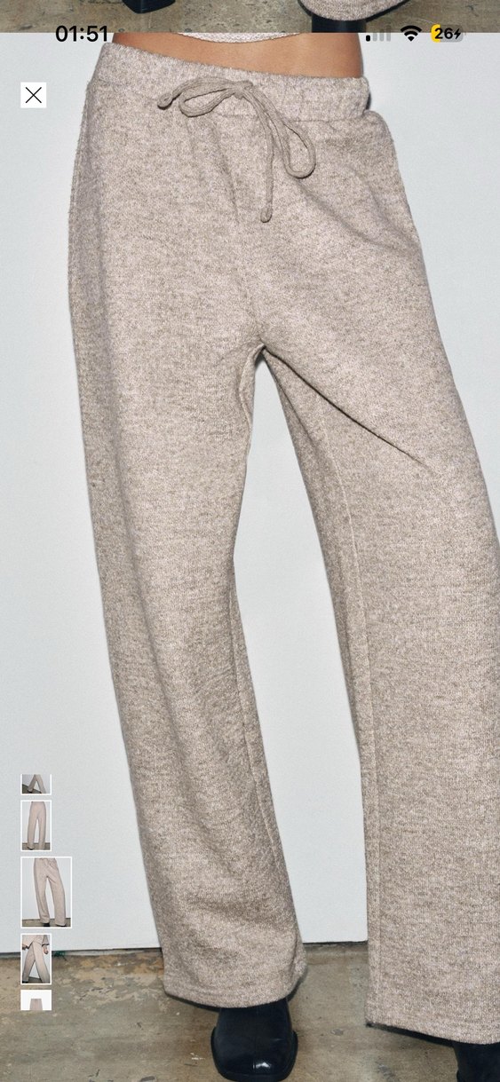 Bej rusrik bej Yün Kadın Pantolon - Görsel 5