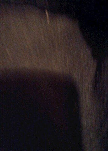 Erkek Çocuk Siyah Slim Fit Eşofman Altı - Görsel 4