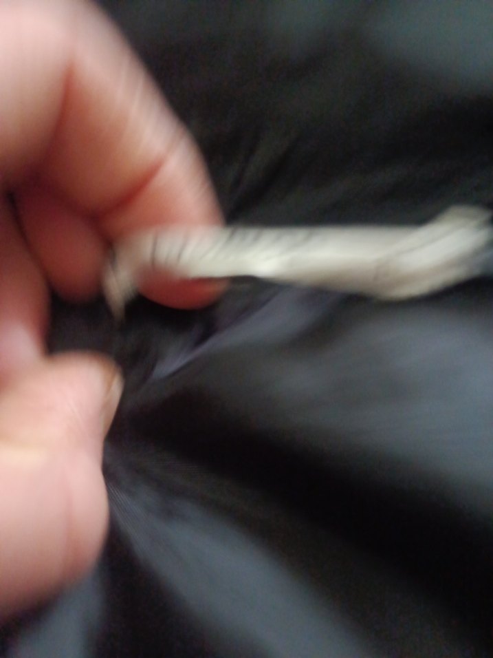 Kürklü Siyah Uzun Kadın Kışlık Mont - Görsel 5