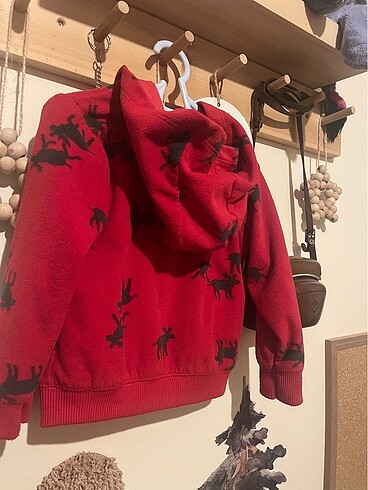 18-24 Ay Beden kırmızı Renk Carters Kapşonlu Sweat