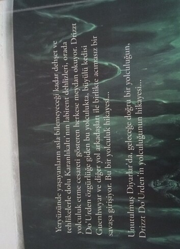  Drizzt evsanesi