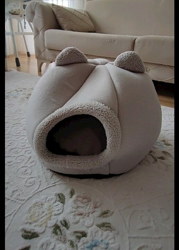 Gri Kedi Yuvası Kulak Detaylı - Görsel 2