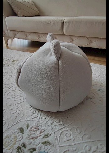 Gri Kedi Yuvası Kulak Detaylı - Görsel 5