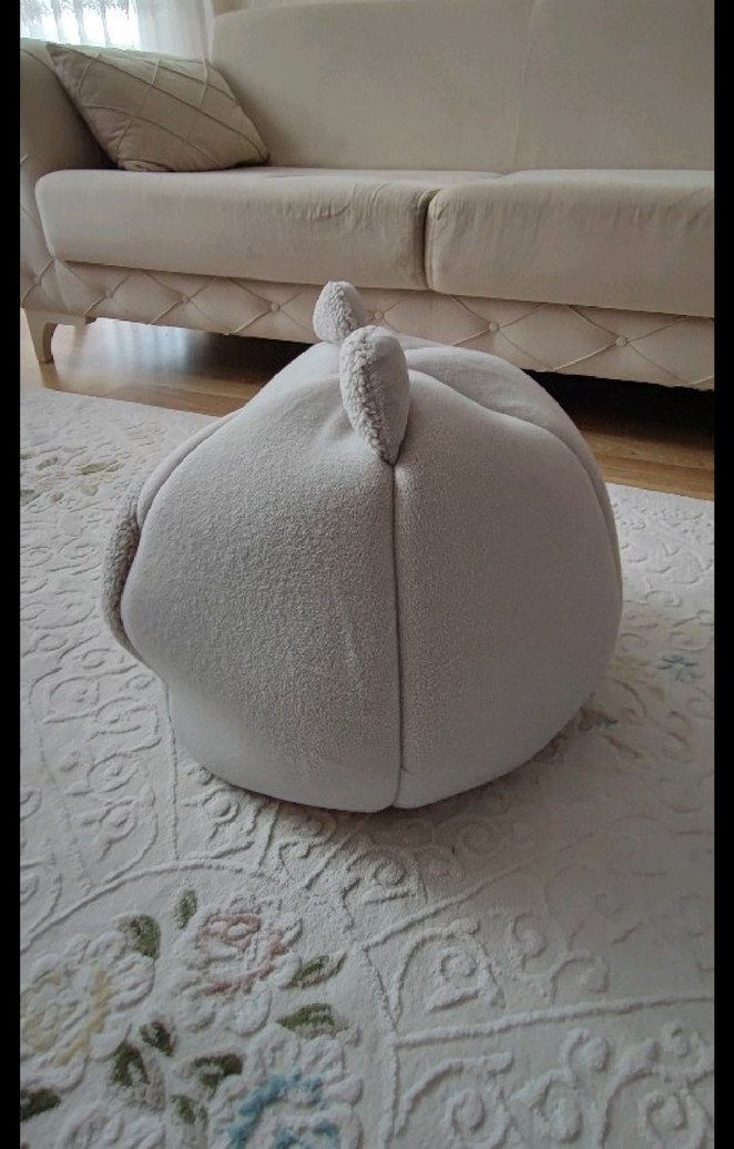 Gri Kedi Yuvası Kulak Detaylı - Görsel 5