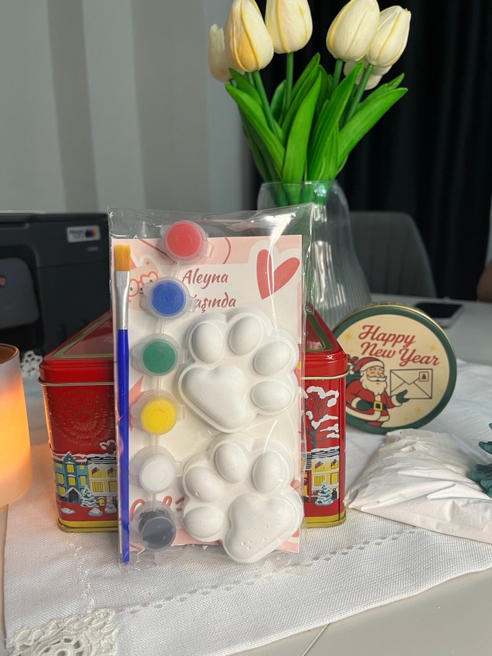 Beyaz Patili taş Boyama Seti - Görsel 2