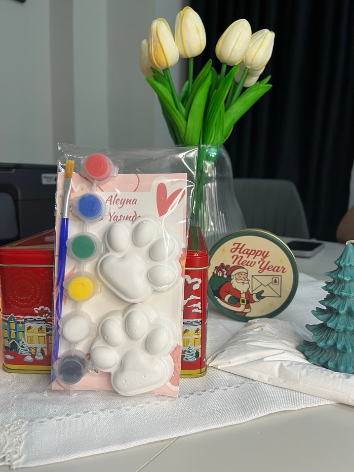 Beyaz Patili taş Boyama Seti - Görsel 3