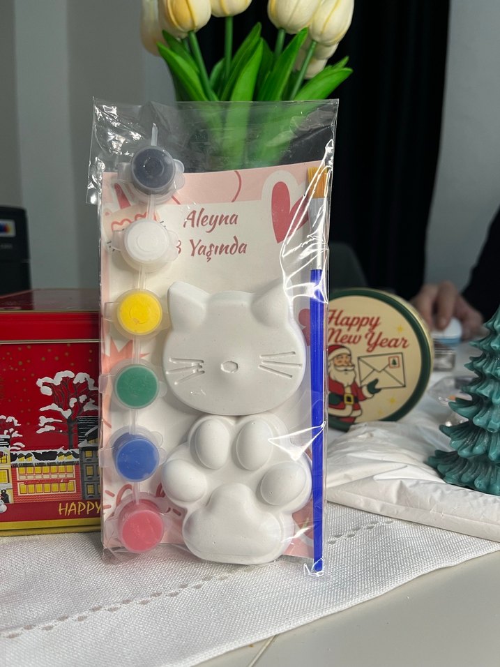 Kedi Figürlü taş Boyama  Seti doğum günü hediyesi - Görsel 3