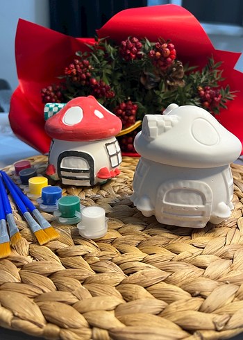 Mantar Ev boyama seti