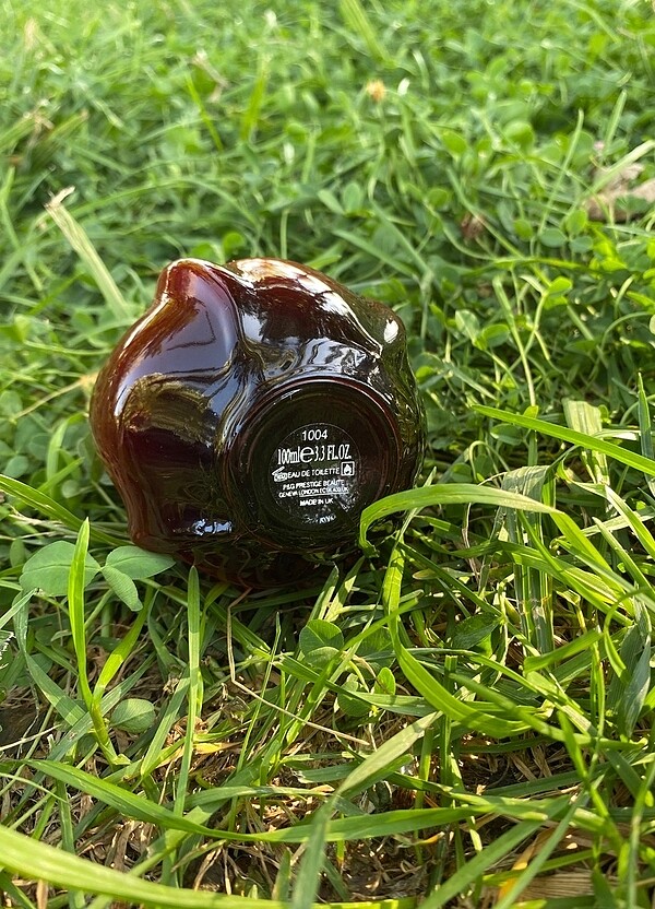 Hypnotic Poison - Görsel 2