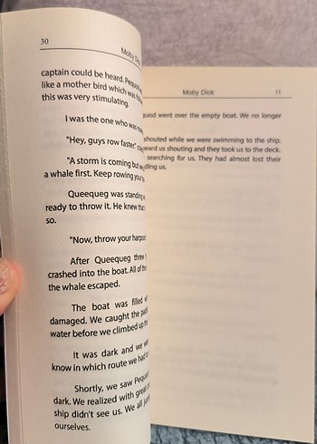 Moby Dick - Herman Melville - Görsel 2