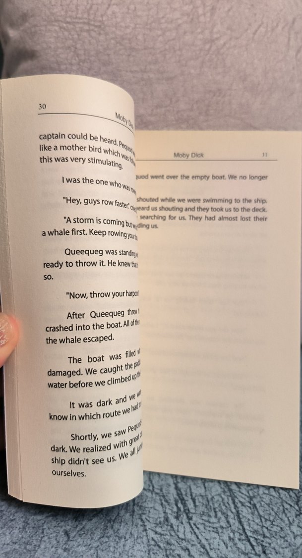 Moby Dick - Herman Melville - Görsel 2