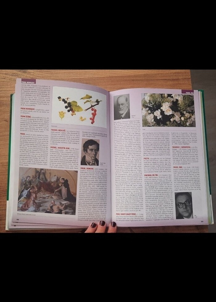 ansiklopedi seti - Görsel 4