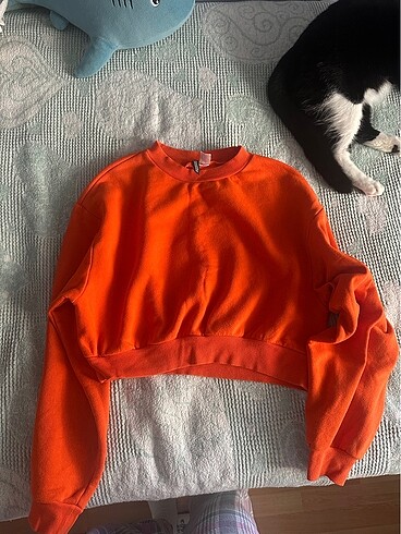 Turuncu hafif crop sweat