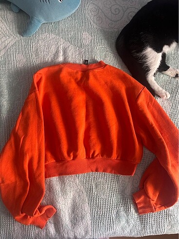 s Beden Turuncu hafif crop sweat