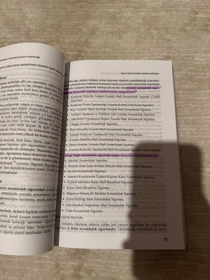 Risk Yönetiminde Sigorta Sistemi Kitabı - Görsel 3