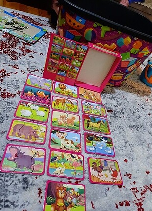  Beden Renk Hayvan tamamlama kartlari
