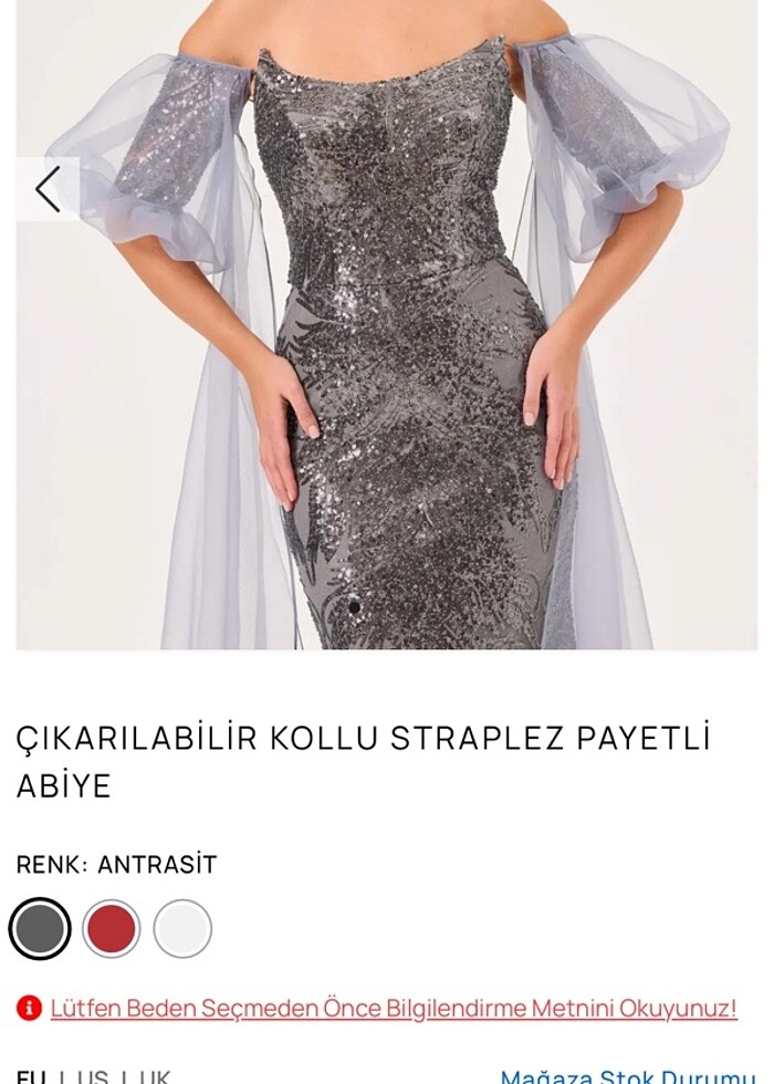 ILMIO ÇIKARILABİLİR KOLLU STRAPLEZ PAYETLİ ABİYE - Görsel 5