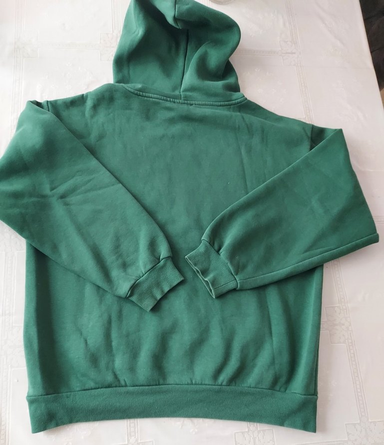 Yeşil Kapüşonlu Mavi Baskılı Sweatshirt - Görsel 2