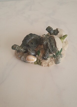 Caretta caretta biblo 