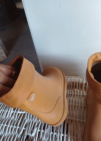 xs Beden camel Renk Igor bot