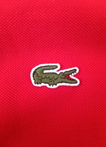 Lacoste orjinal polo - Görsel 4