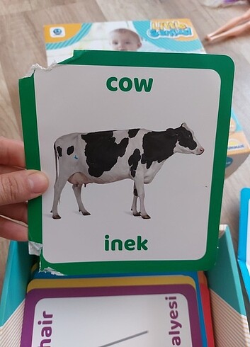  Beden Renk Eğitici oyuncak