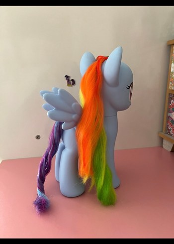  Beden Renk My Little Pony Rainbow Dash
