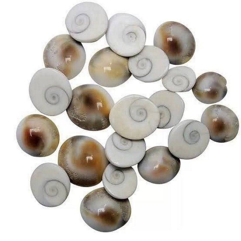 Doğal Canlı Şifalı Yılancık Taşı - Görsel 3