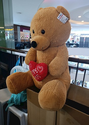 Kahverengi Peluş Ayı Oyuncak - Görsel 2