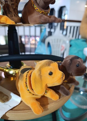 Kafa Sallayan Köpek