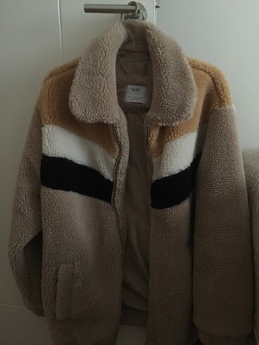 Teddy mont