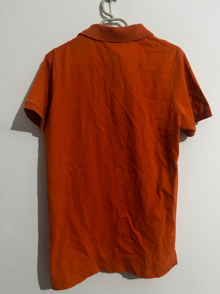 Erkek Polo Tişört - Görsel 2