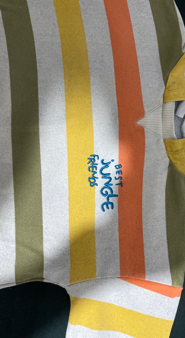 Erkek Çocuk Çok Renkli Kapüşonlu Sweatshirt - Görsel 2