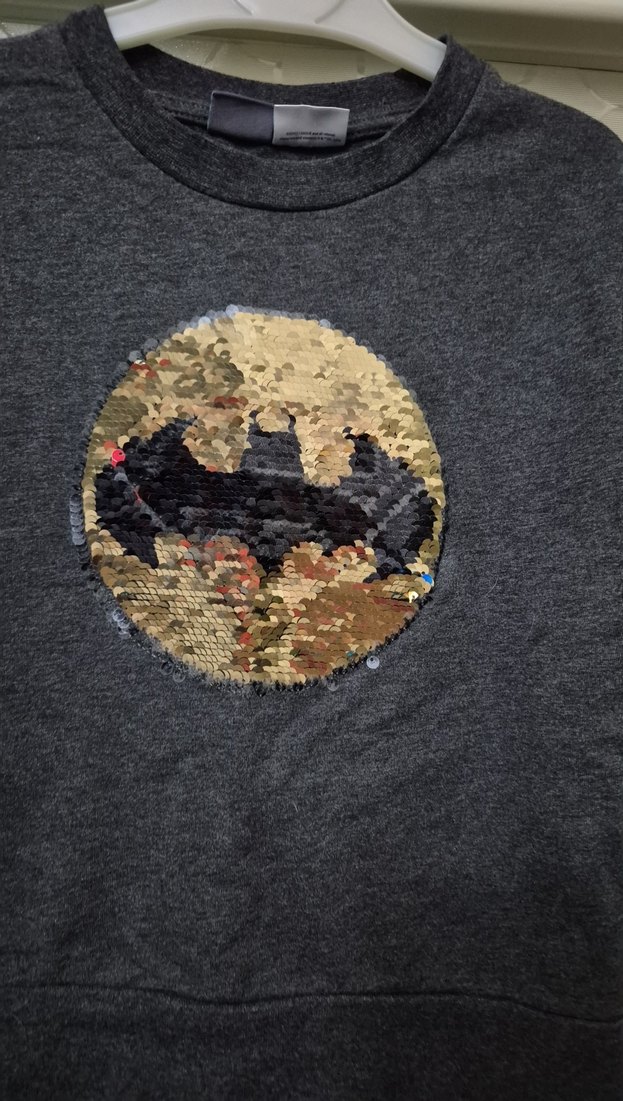 Lcw 3-4 yaş çift yönlü payetli Erkek Çocuk Uzun Kollu Sweatshirt - Görsel 3