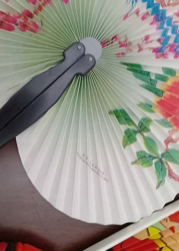 Renkli Katlanabilir El Yelpazesi Seti - Görsel 4