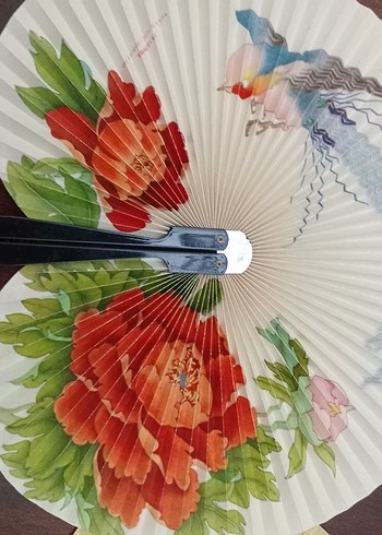 Renkli Katlanabilir El Yelpazesi Seti - Görsel 2