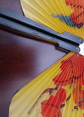 Renkli Katlanabilir El Yelpazesi Seti - Görsel 3